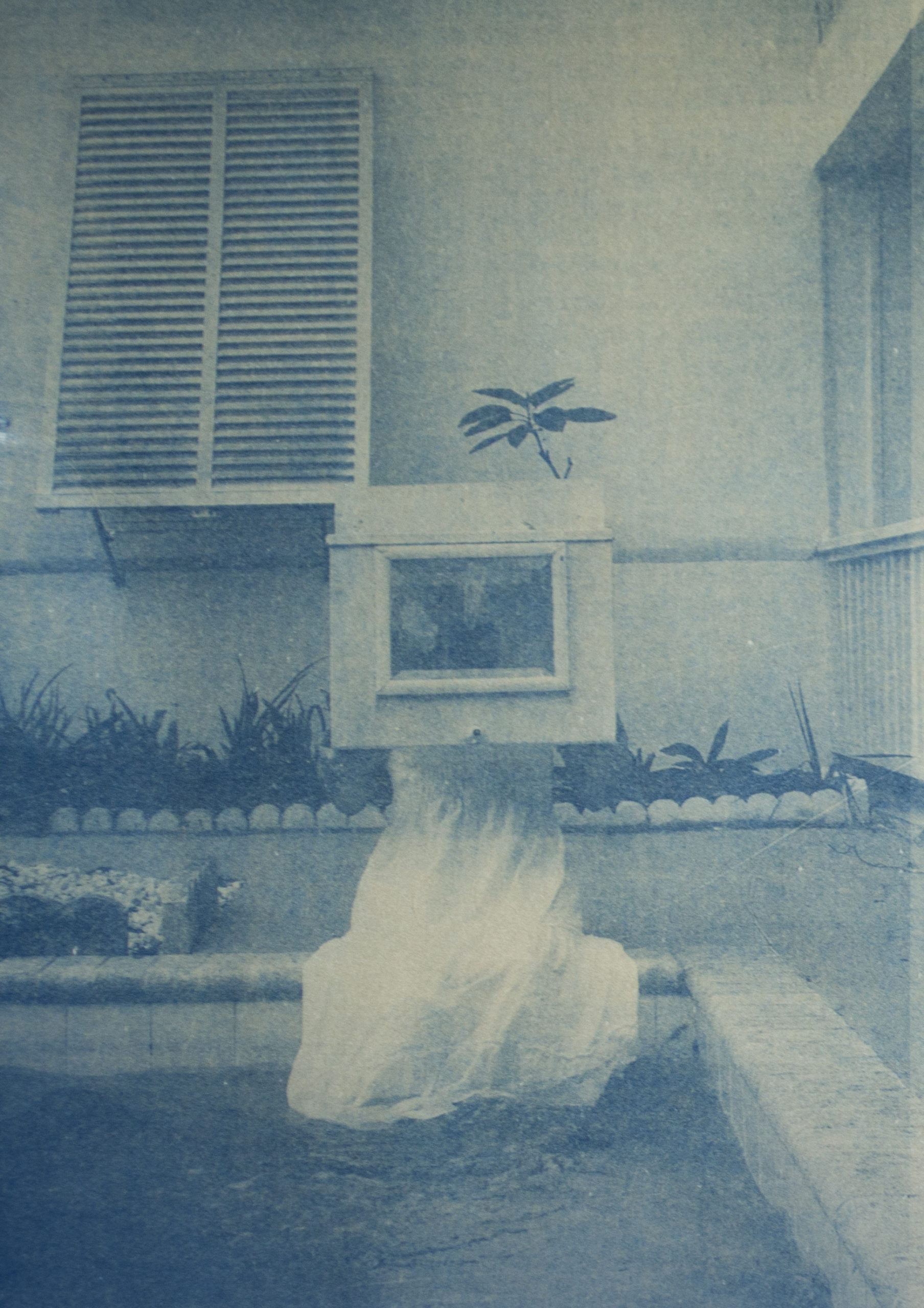 Erika Cespedes cyanotype