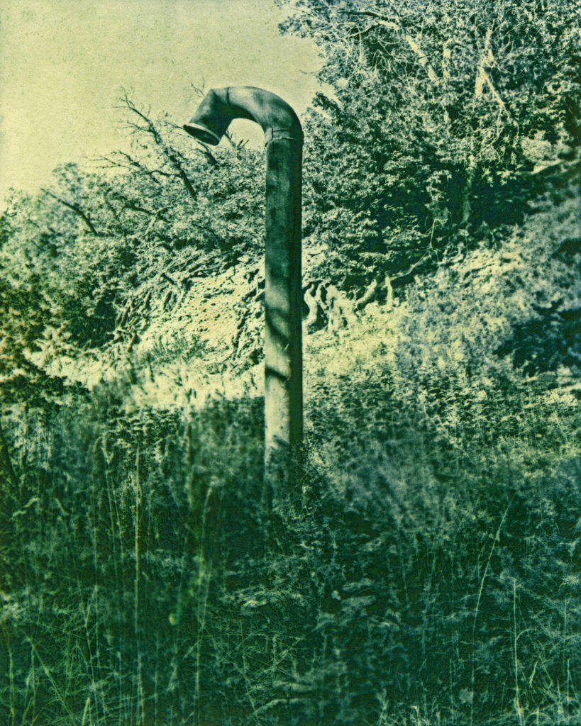 Forgotten Artificial Hooey #9 - Rachel Roser, gum bichromate print