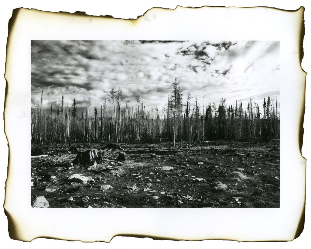 Two Years After the Brian Head Fire (1) - Kristen Bennett, inkjet print