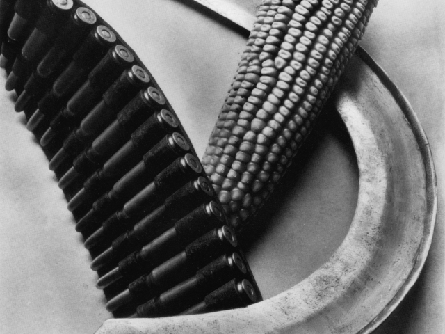 Bandolier, Corn, Sickle; Tina Modotti, c.1927