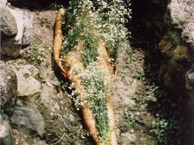 Imagen de Yagul (from the 'Silueta' series); Ana Mendieta, 1973 CE, chromogenic print, 20 x 13-3/8"; SFMOMA