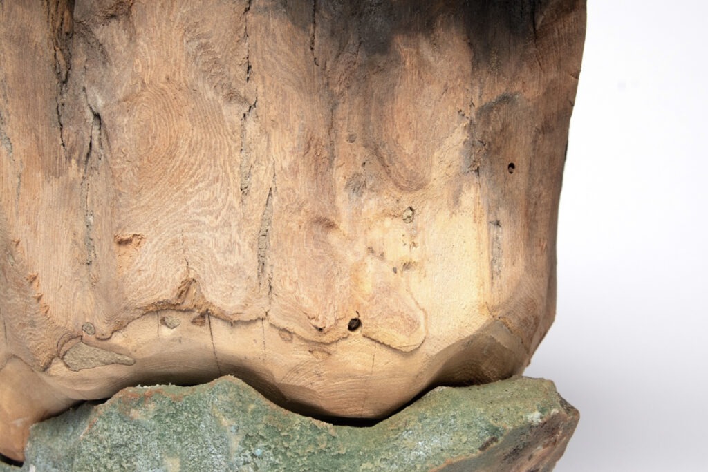 The Houseguest (detail), Adah Bennion, 2022, found elm wood, aluminum, common Utah yellowjacket wasp, sand-resin, latex rubber