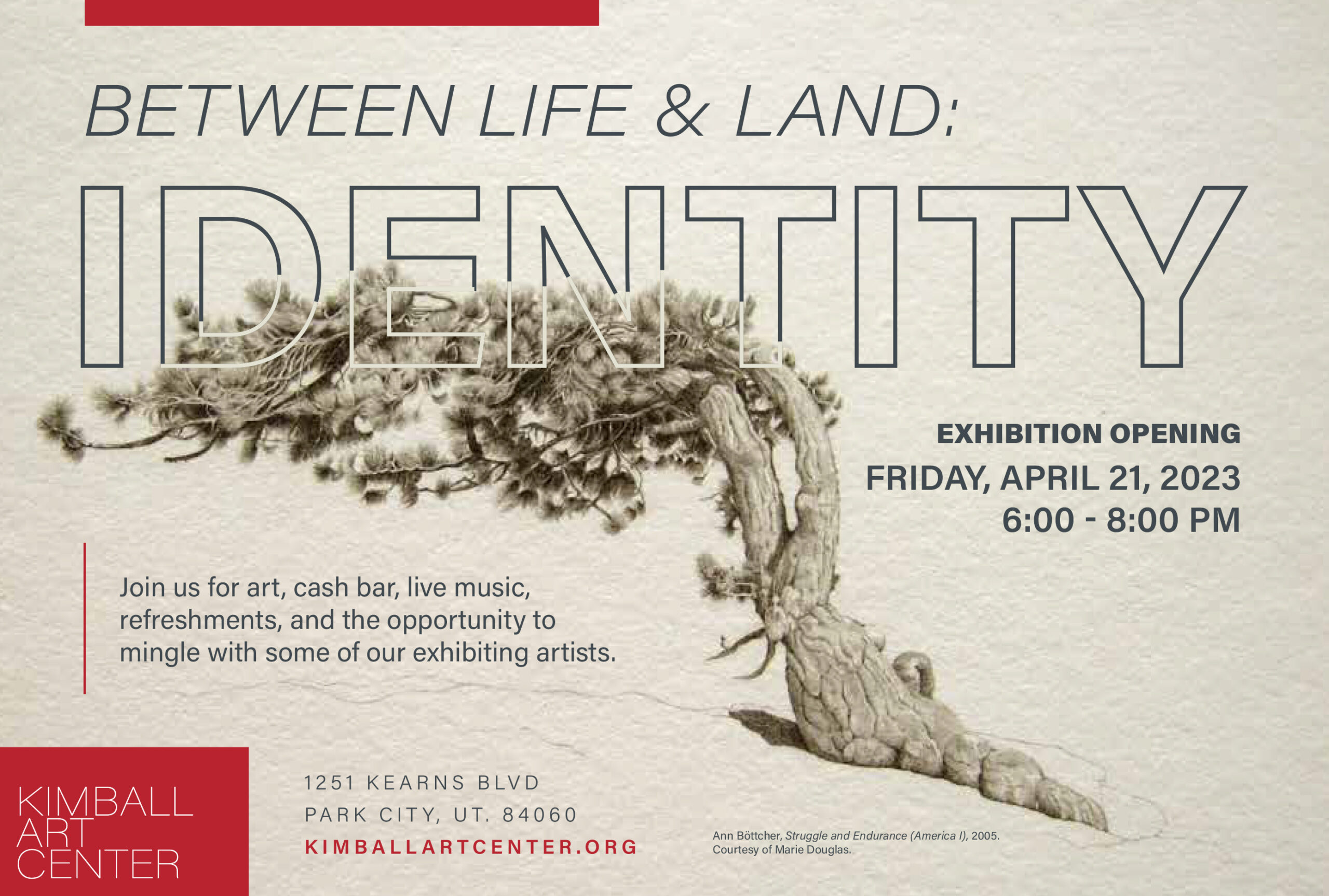 Between Life & Land - Identity