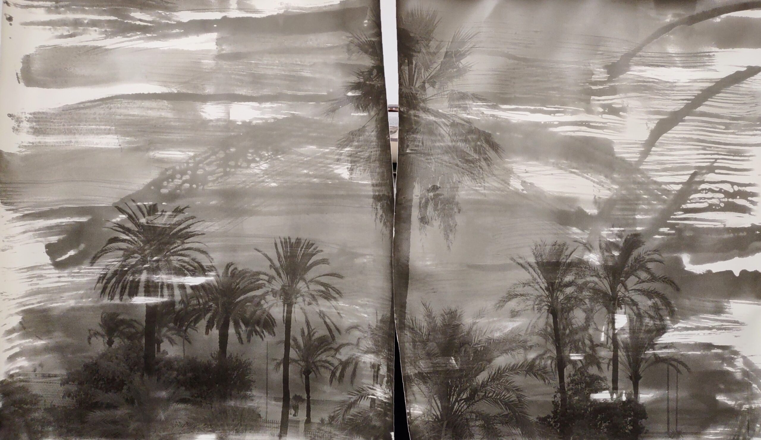 Alt photograph of palm trees by Joe Marotta