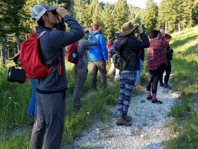 Wildlife Viewing in Centennial Valley, Montana