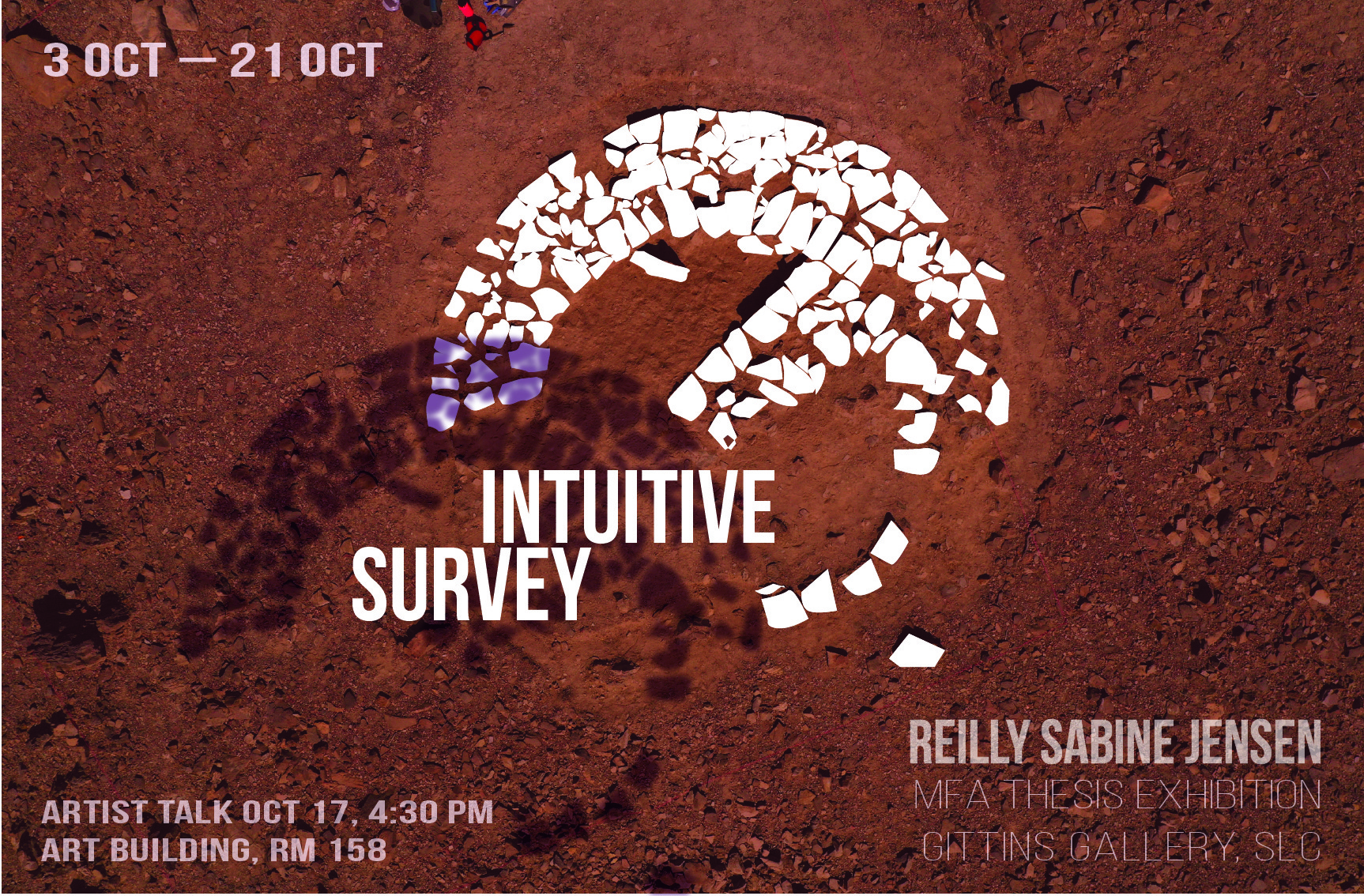 Intuitive Survey Reilly Jensen