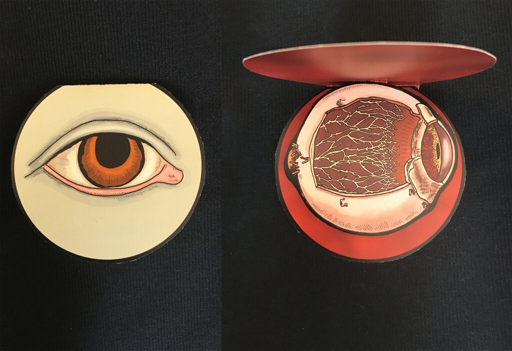 Anatomical Eye, Marianne R. Petit, digital printed with archival ink on velvet rag paper, 9x9 popup