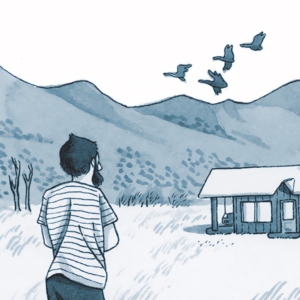Artwork by Navied Mahdavian for Slider
