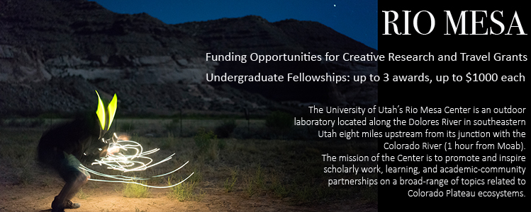 Rio Mesa funding