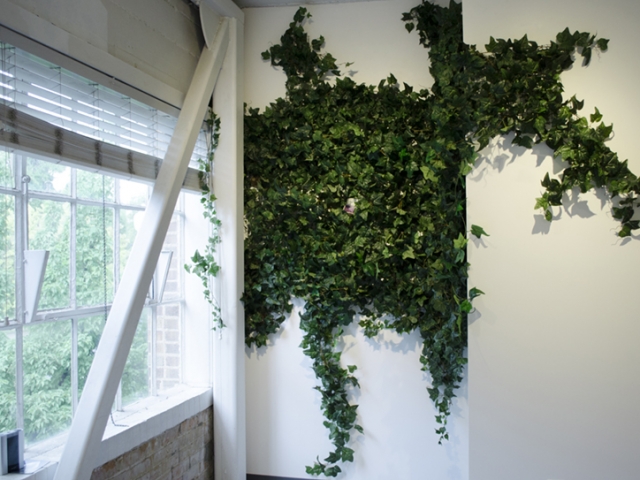 Herbarium Obscura, Nancy Rivera