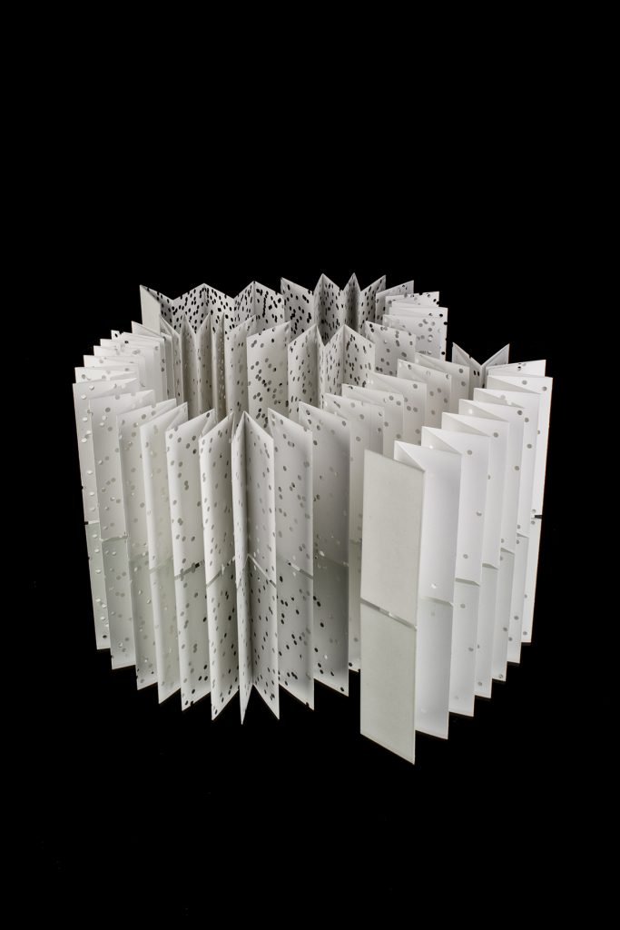 Century of Decay, Ruby Barrett, 2019, Accordion Fold