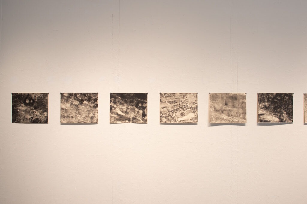 Tess Wood MFA: Landscapes of a Tumultuous Mind