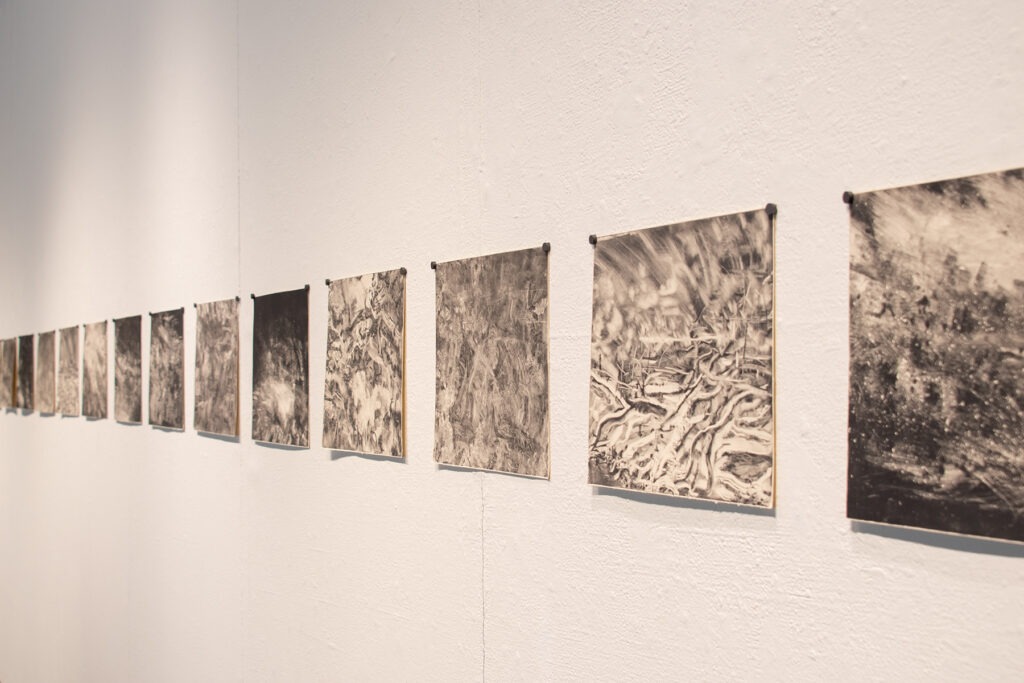 Tess Wood MFA: Landscapes of a Tumultuous Mind