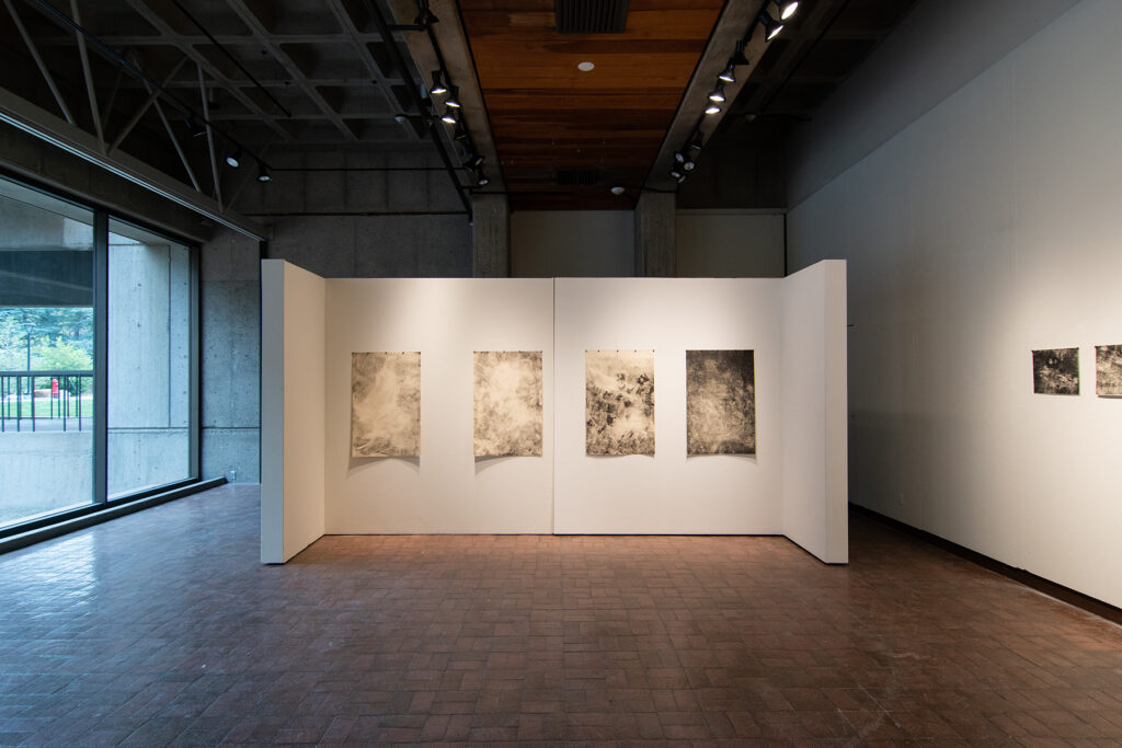 Tess Wood MFA: Landscapes of a Tumultuous Mind