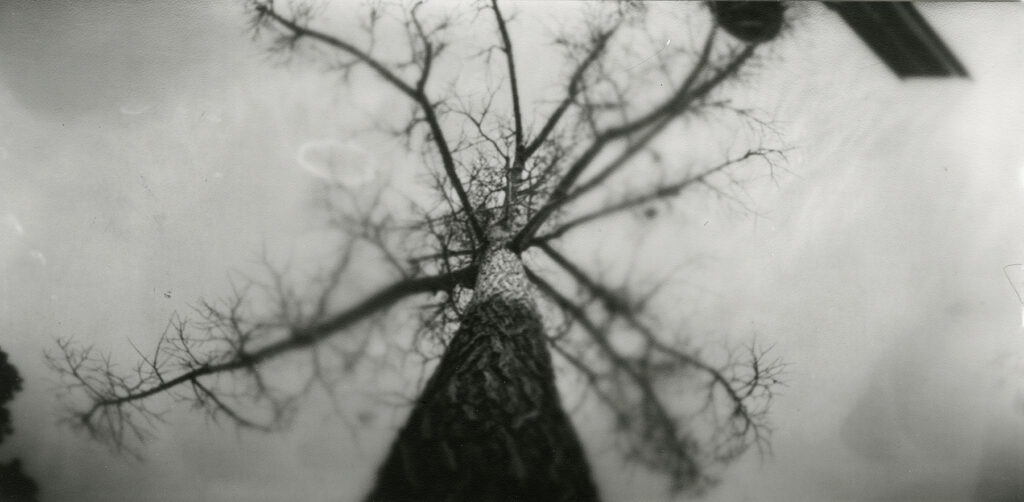 Seeing Spring 2023 Pinhole Project artwork: Eve Behunin