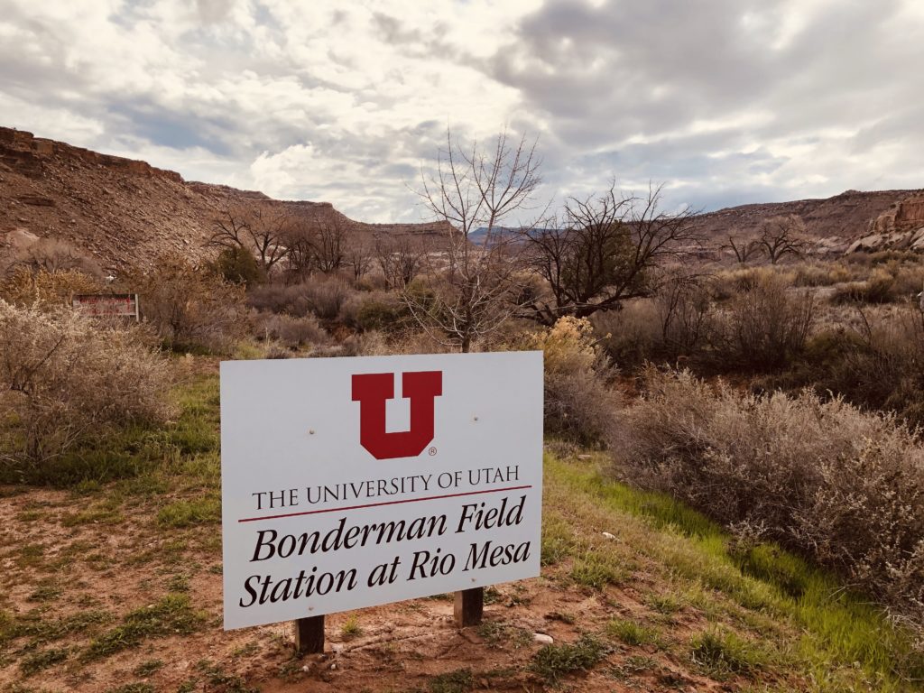 Honors Class Trip to Bonderman Field Station at Rio Mesa