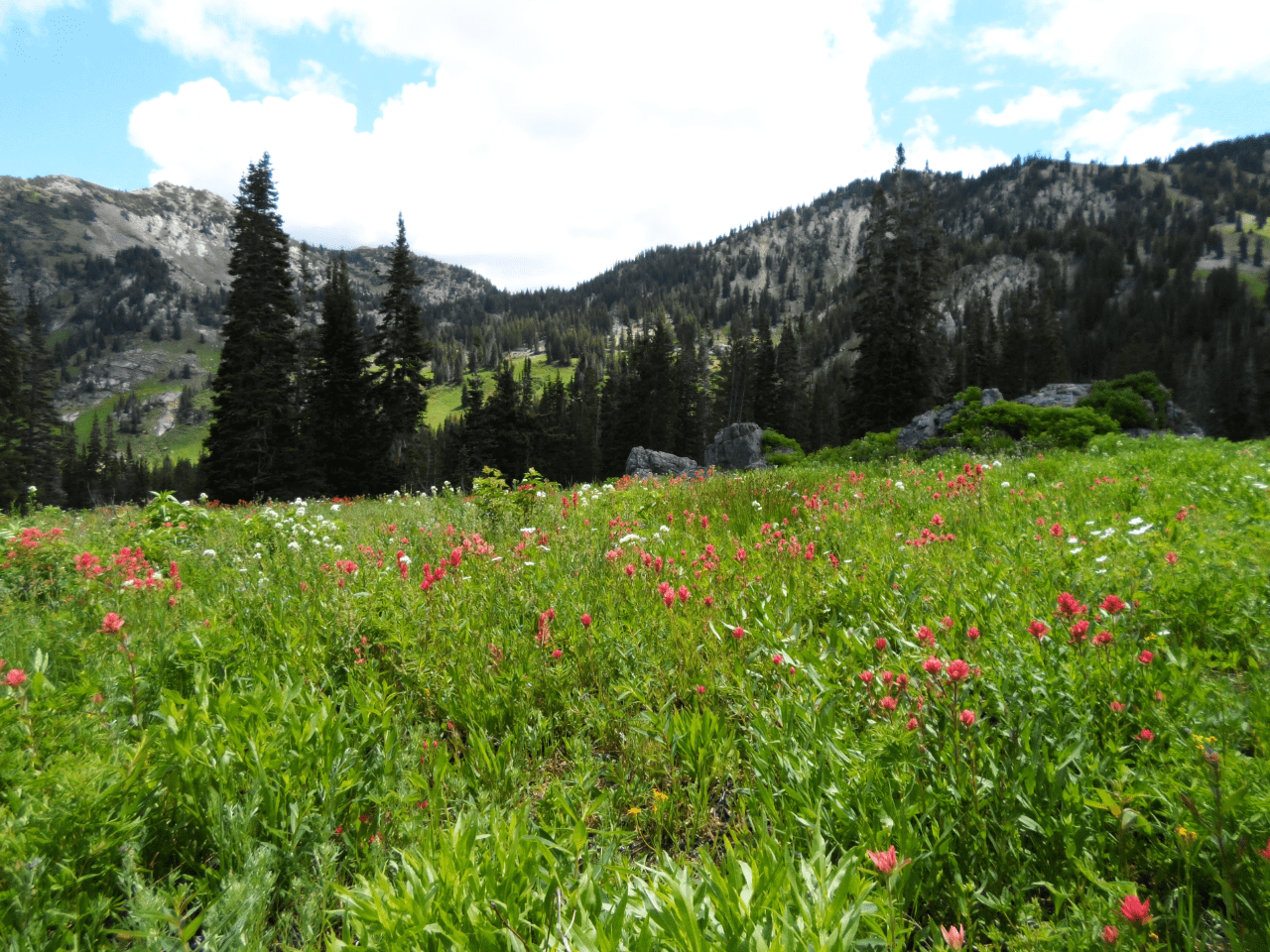 Little Cottonwood Canyon