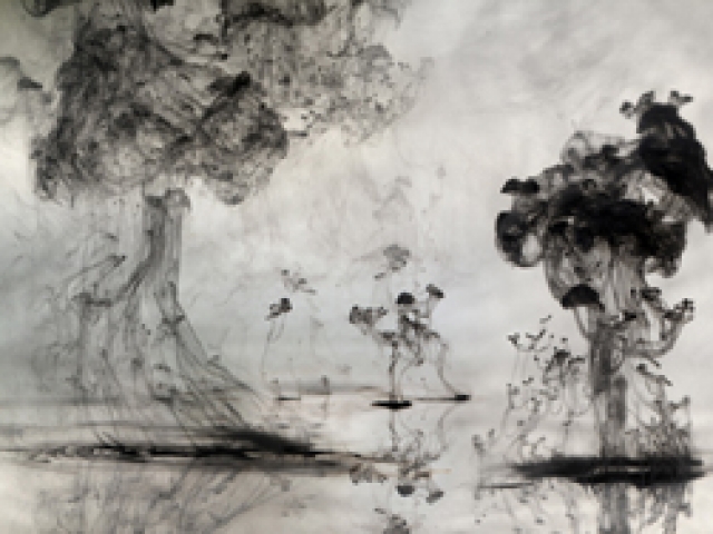 Mushrooms &#039;n&#039; Trees, Van Chu, 2009-10